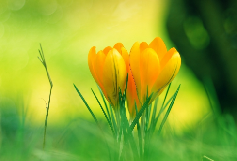 1691776657902434.png image.png