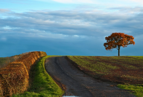 1691778648259704.png image.png