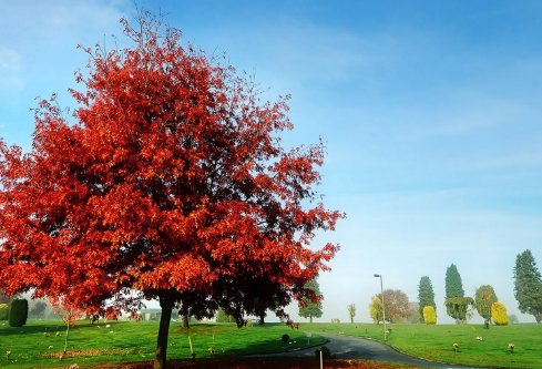 1691779312121165.png image.png