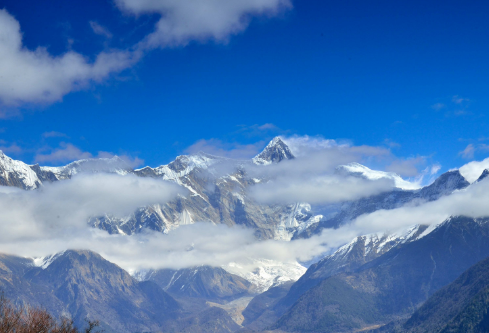 1691783128999034.png image.png