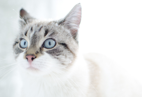 1691783627385065.png image.png