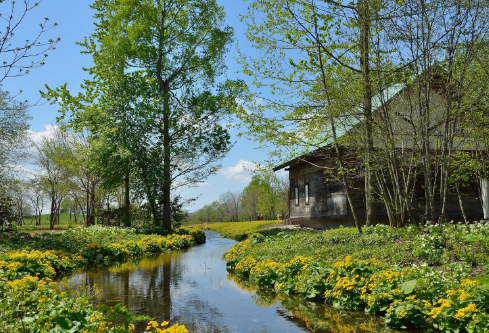 1691783793195617.png image.png