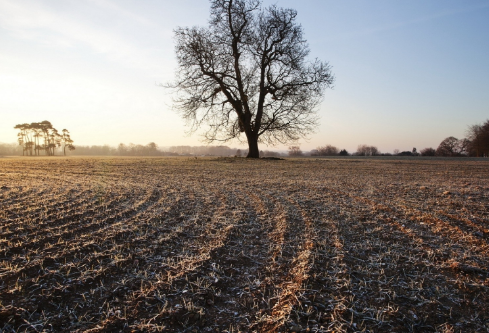 1691784291598400.png image.png