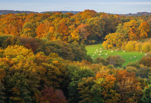 1691784623607135.png image.png