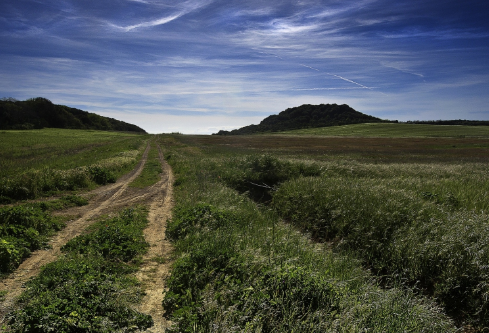 1691785121491559.png image.png