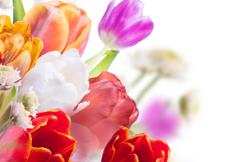 1691785951421540.png image.png