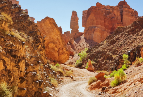 1691786449353768.png image.png