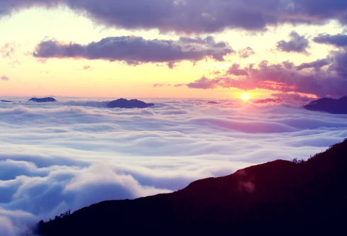 1691786615968706.png image.png