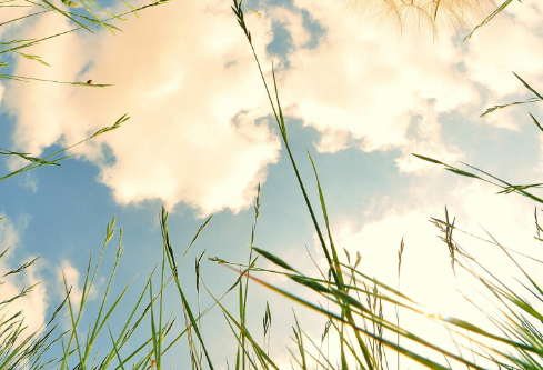 1691787279647763.png image.png