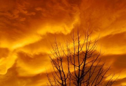 1691787445717387.png image.png