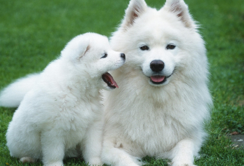 1691799059376347.png image.png