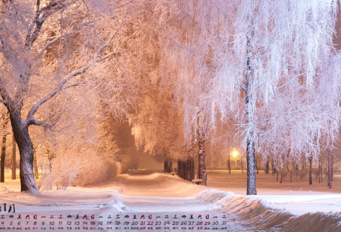 1691801051676236.png image.png