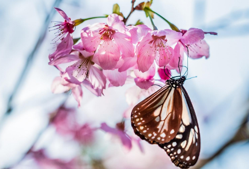 1692768208704381.png image.png