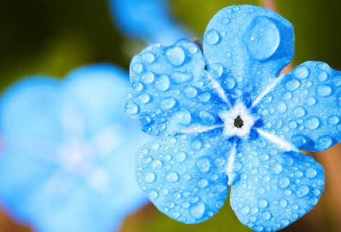 1692768540399553.png image.png