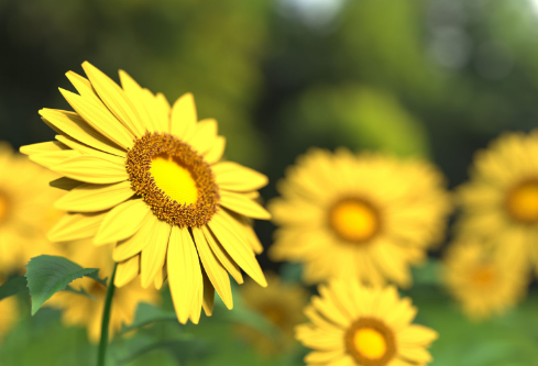 1692768706592628.png image.png