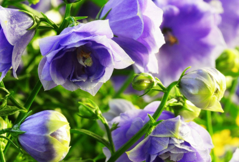 1692768872466736.png image.png