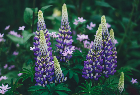 1692769205370813.png image.png