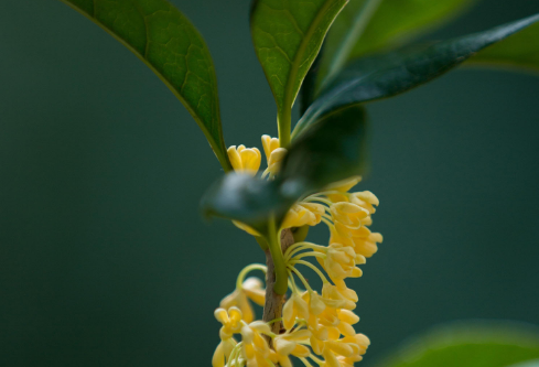 1692769703337294.png image.png