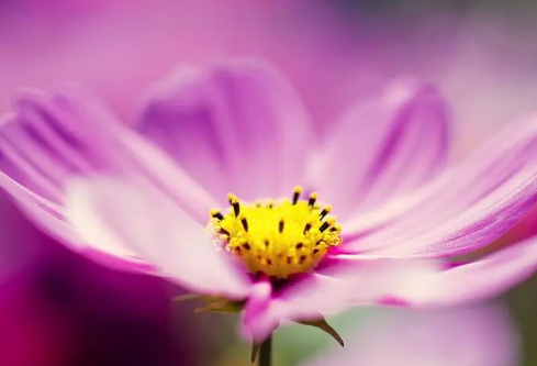 1692780496318243.png image.png