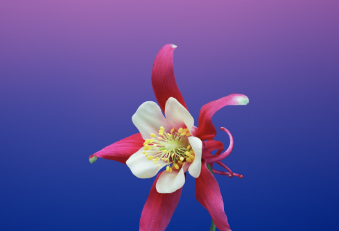 1692780828623933.png image.png