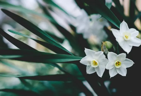 1692781505863540.png image.png