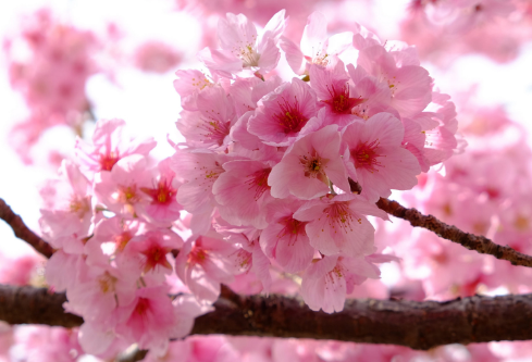 1692781671980911.png image.png