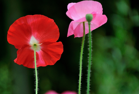 1692781837471750.png image.png