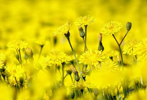 1692782002860383.png image.png