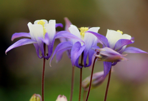 1692782170741442.png image.png