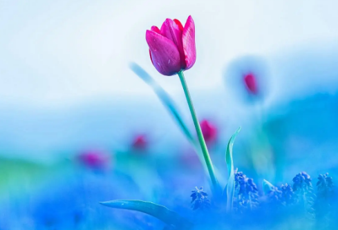 1692782510743809.png image.png