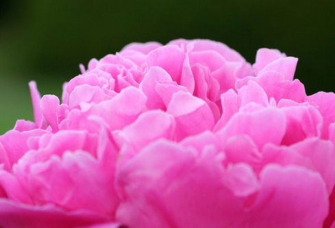 1692782842543243.png image.png