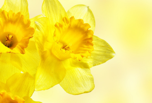 1692783008464226.png image.png