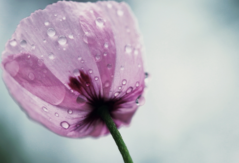 1692783174605186.png image.png