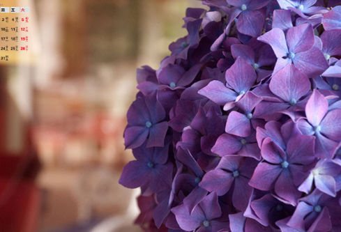 1692783506574293.png image.png