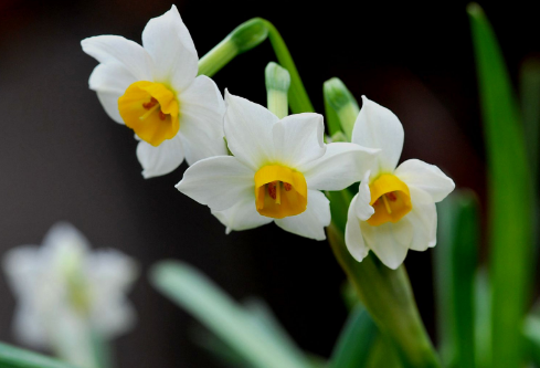 1692783672695799.png image.png