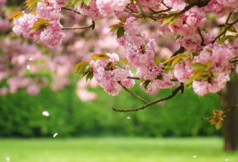 1692783838742988.png image.png