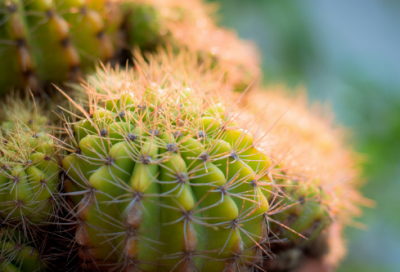 ​思乡诗大全100首精选