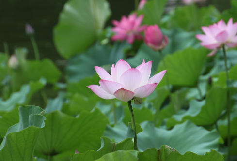 1692807639225705.png image.png