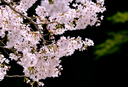 1692807971205030.png image.png