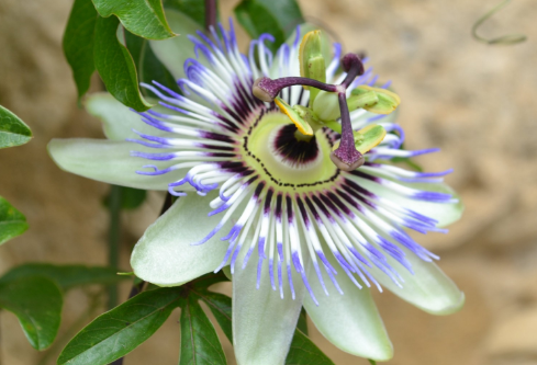 1692808304108366.png image.png