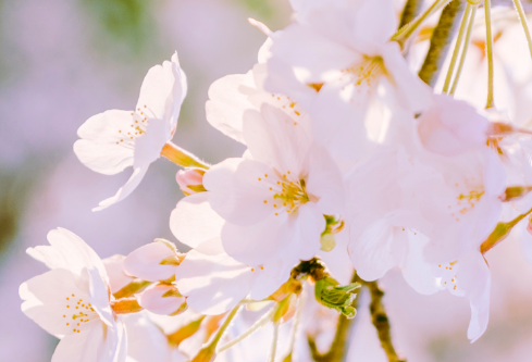 1692808470965217.png image.png