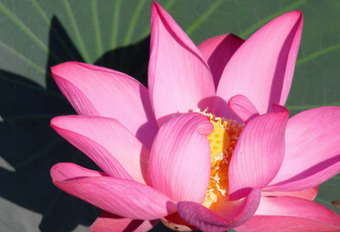 1692808636633237.png image.png