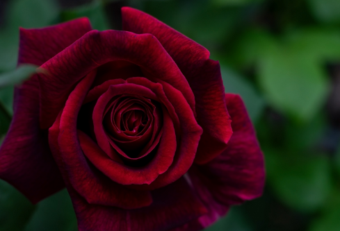 1692808802581456.png image.png