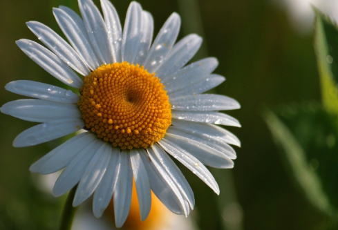 1692809134342103.png image.png