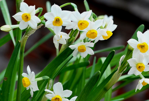 1692809309806290.png image.png