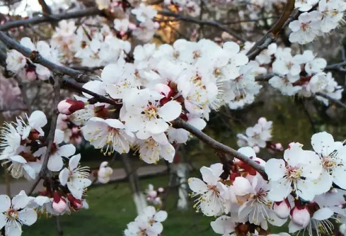 1692809650321717.png image.png