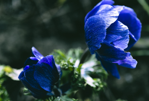 1692809982852170.png image.png