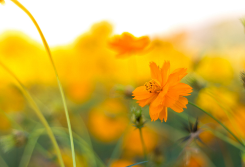 1692810148187066.png image.png