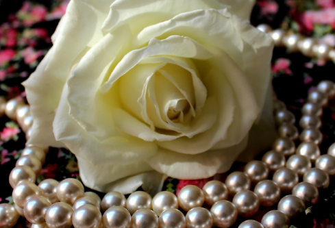 1692810314686735.png image.png