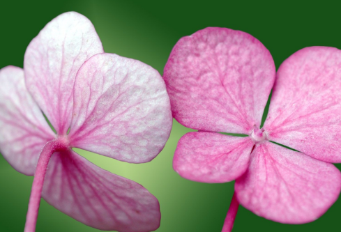 1692810481755888.png image.png